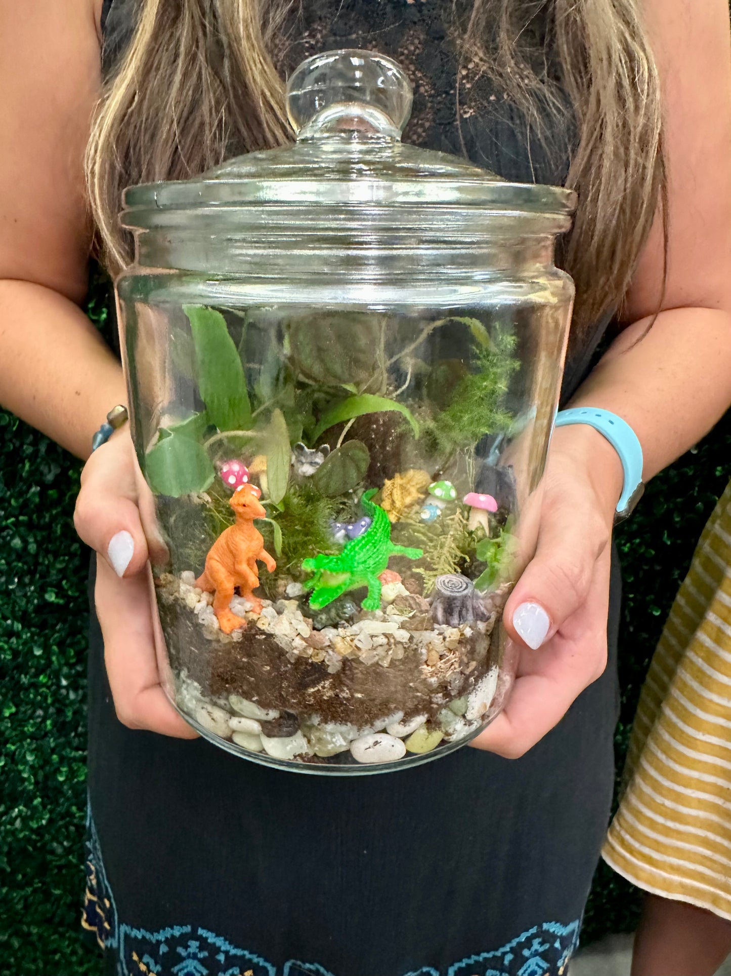 DIY Terrarium Kit