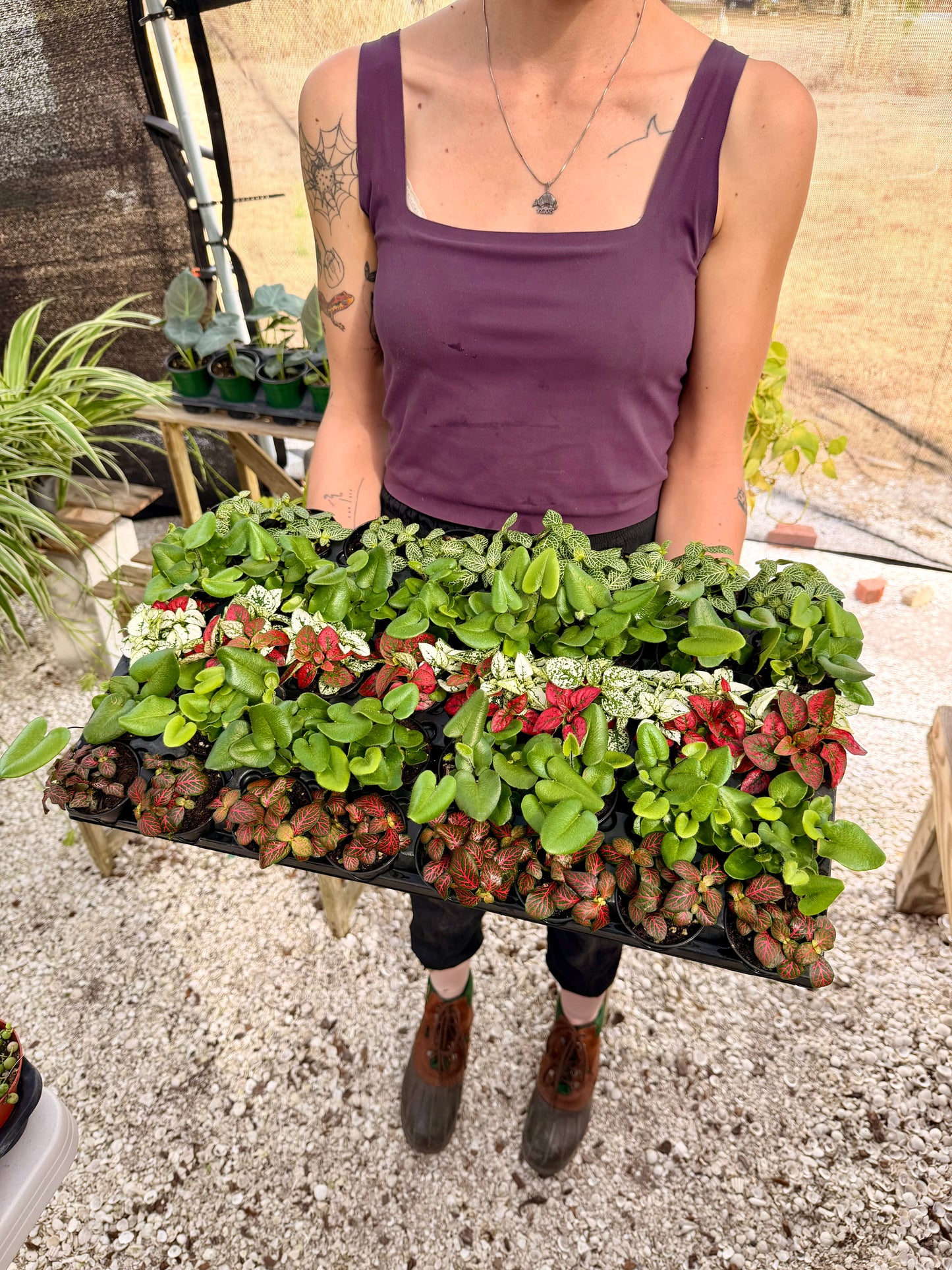 Valentines Day Bundle