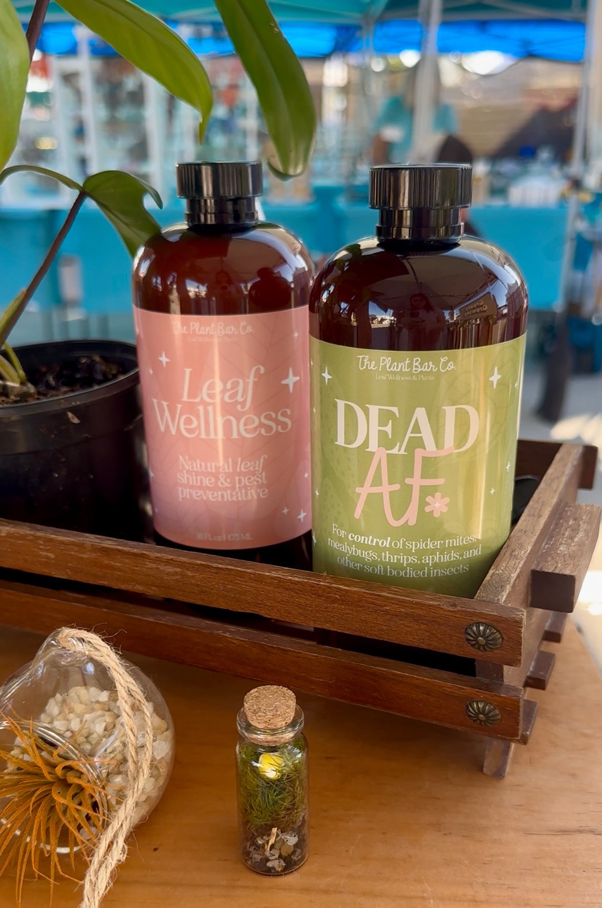 Leaf Wellness