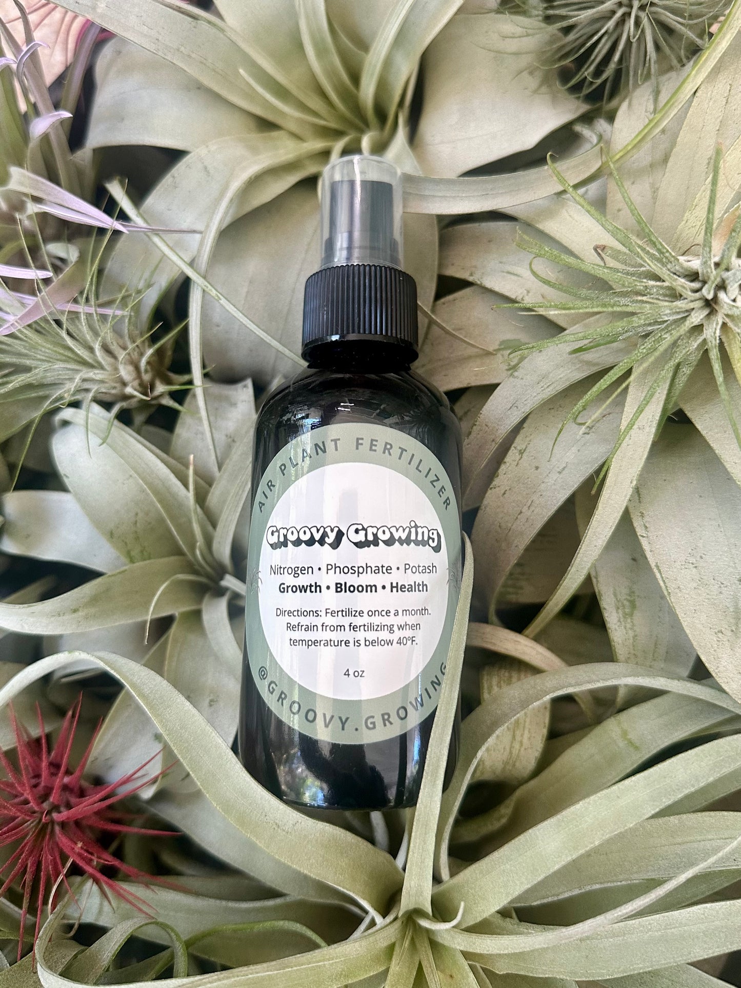 Air Plant Fertilizer