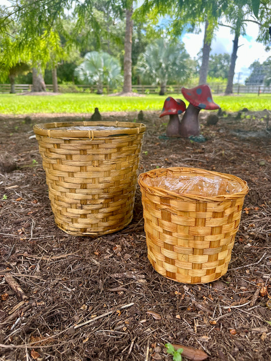 Wicker Plant Baskets