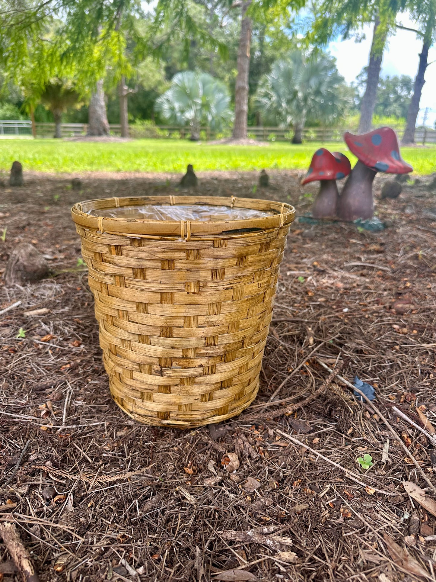 Wicker Plant Baskets