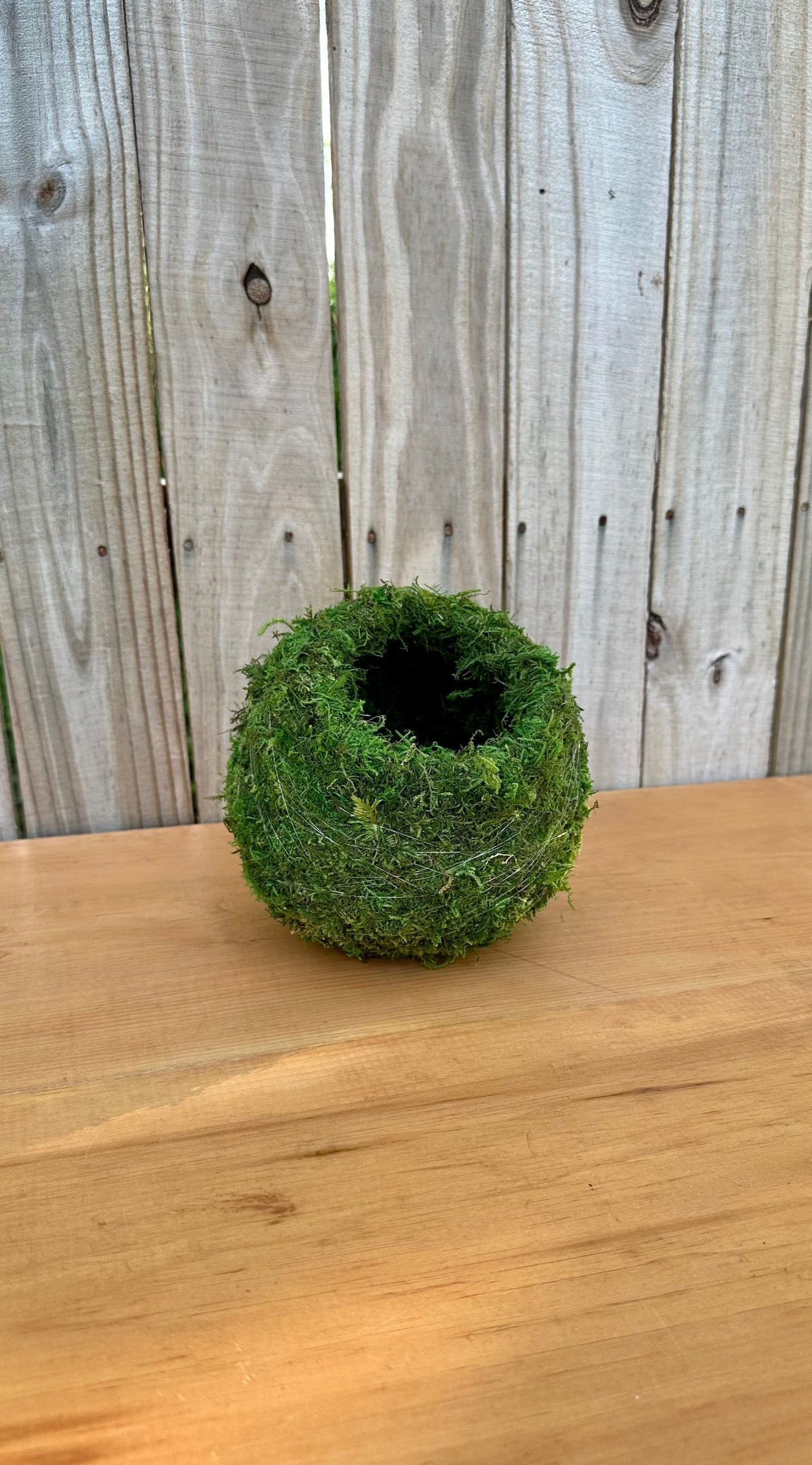 Empty Kokedama