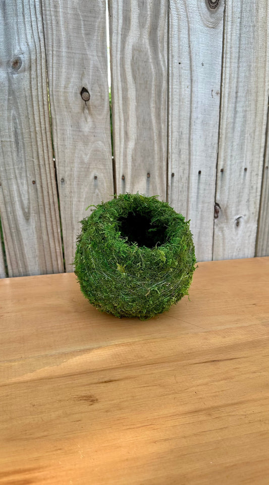 Empty Kokedama