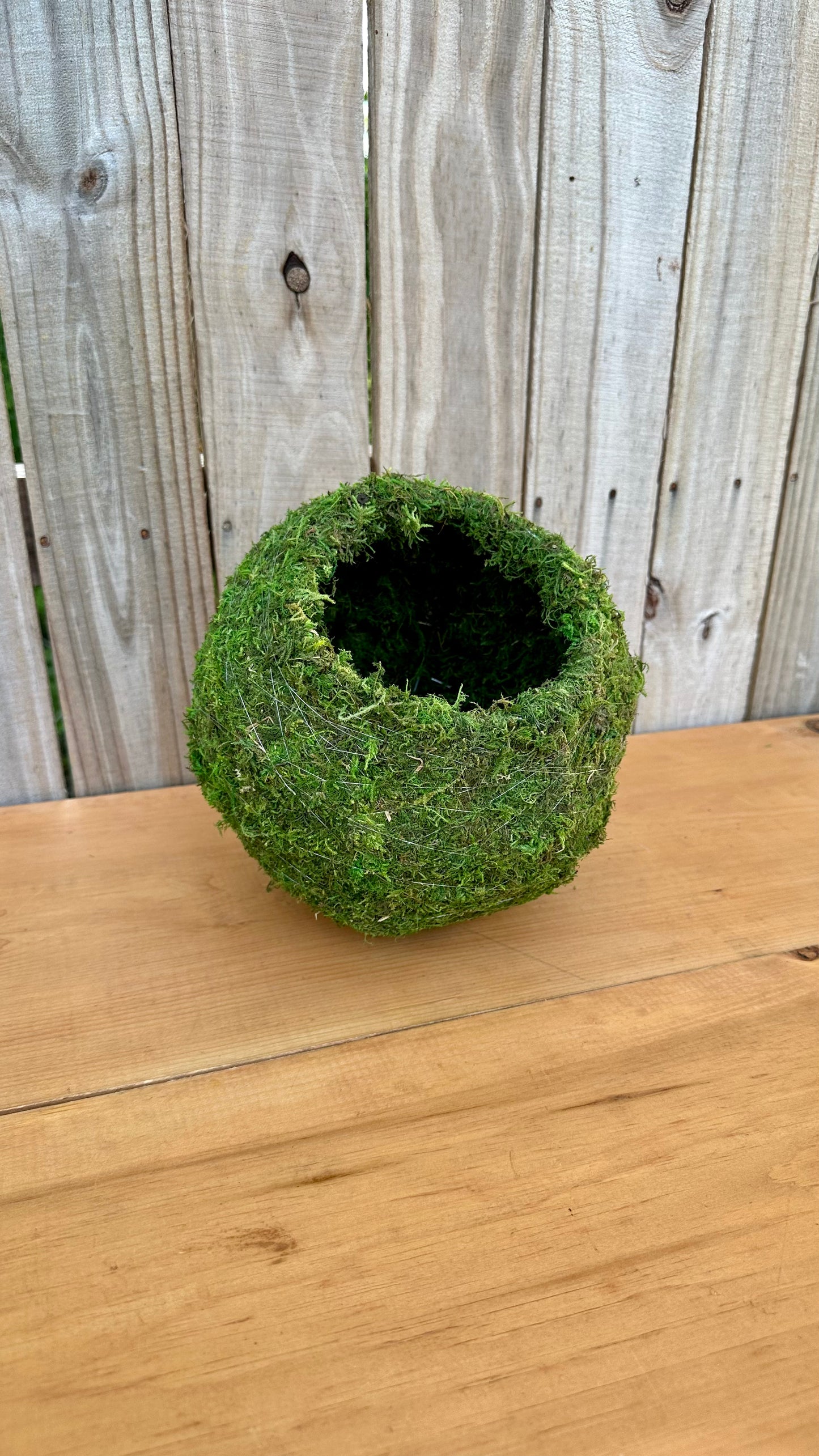 Empty Kokedama