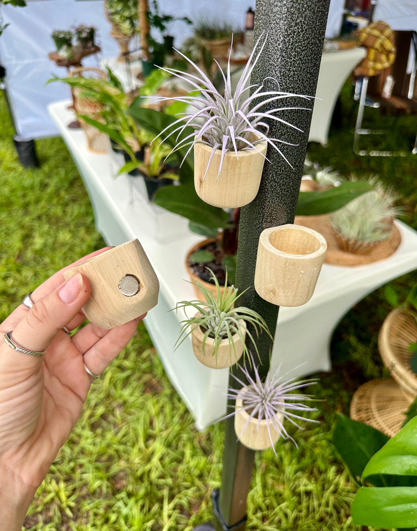 Magnetic Air Plant Holder