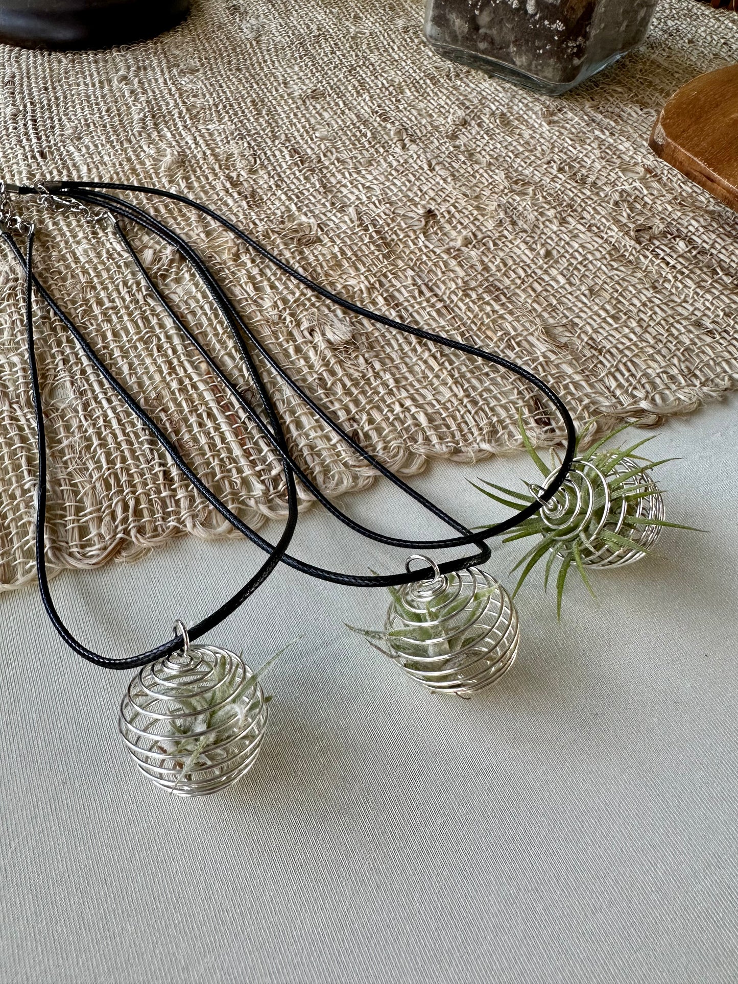 Air Plant Necklace