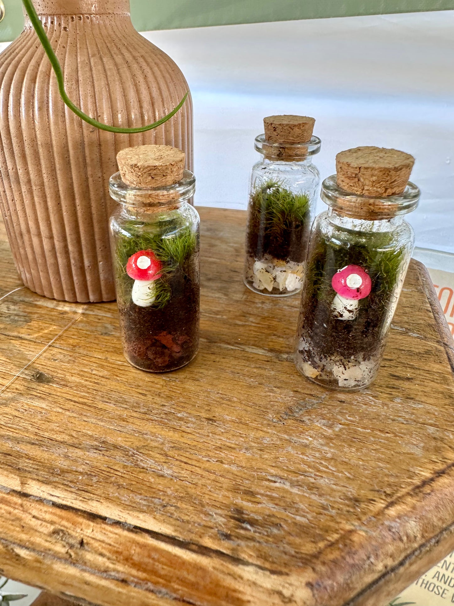 Mini Terrariums