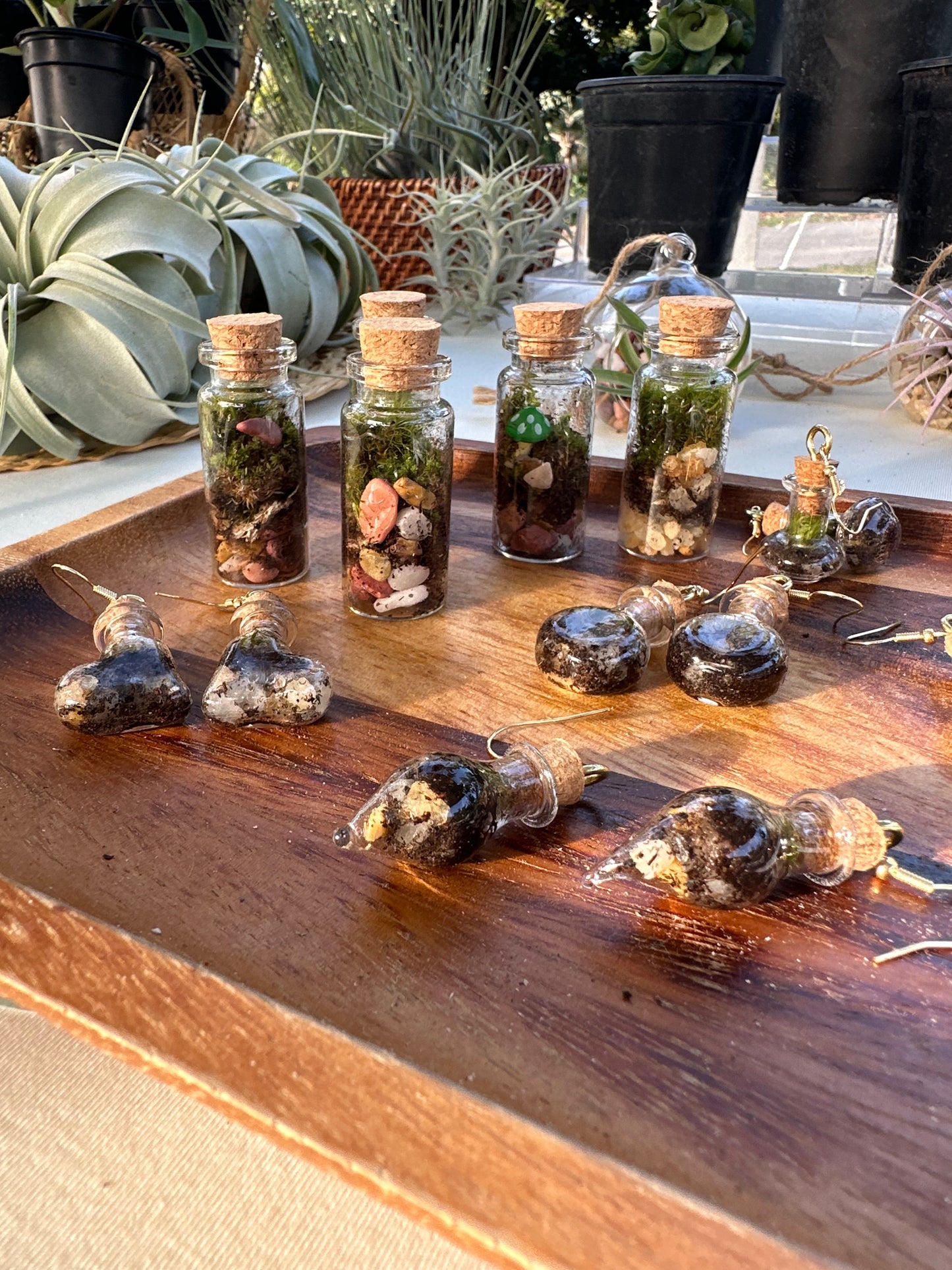 Mini Terrariums