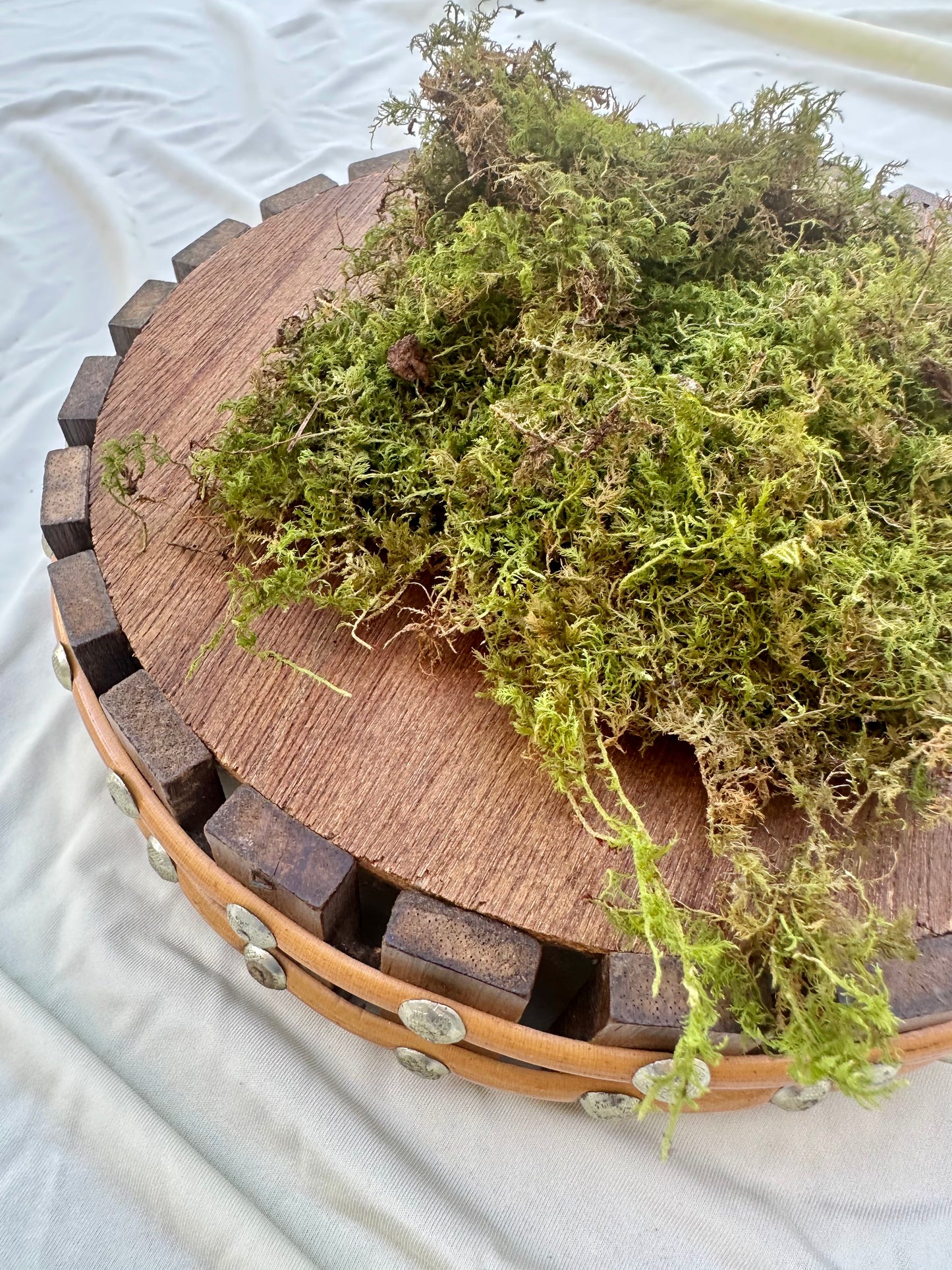 Feather Moss