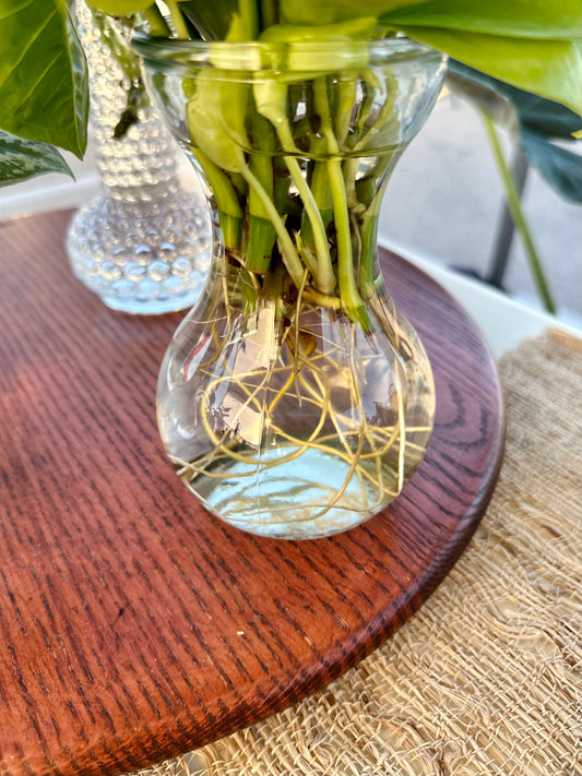 Mystery Propagations