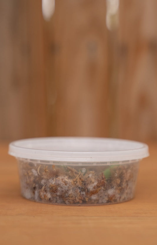 Mystery Propagation Box