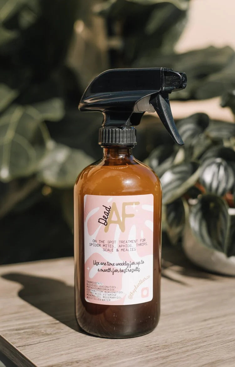 Dead AF • "On the Spot" Pest Treatment