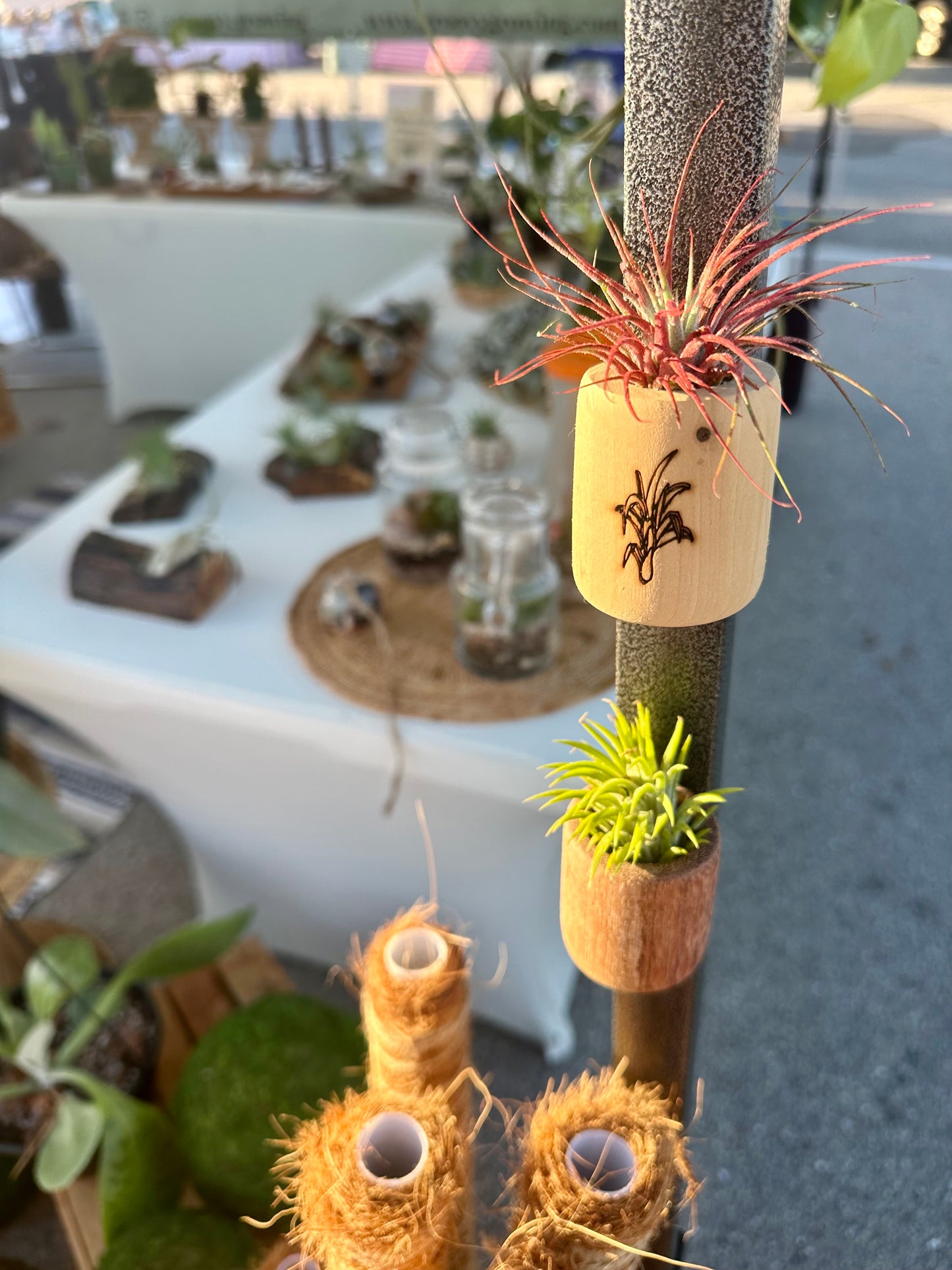 Magnetic Air Plant Holder