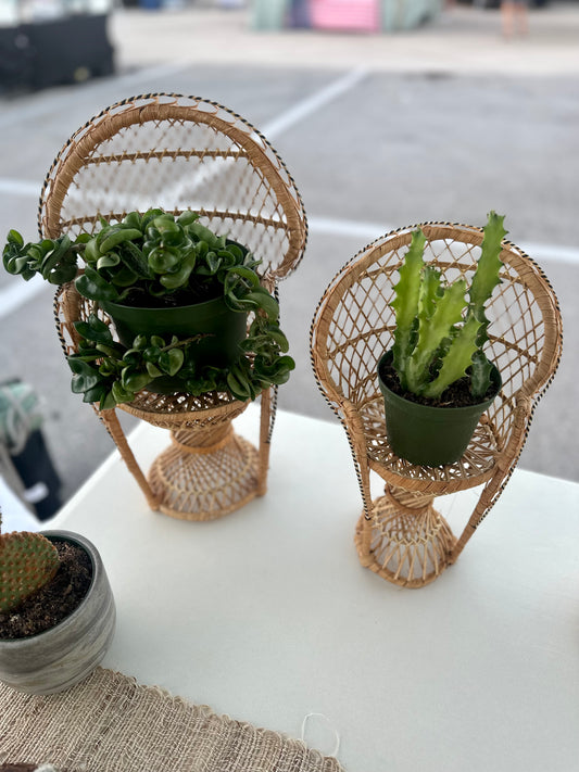 Wicker Plant Chair