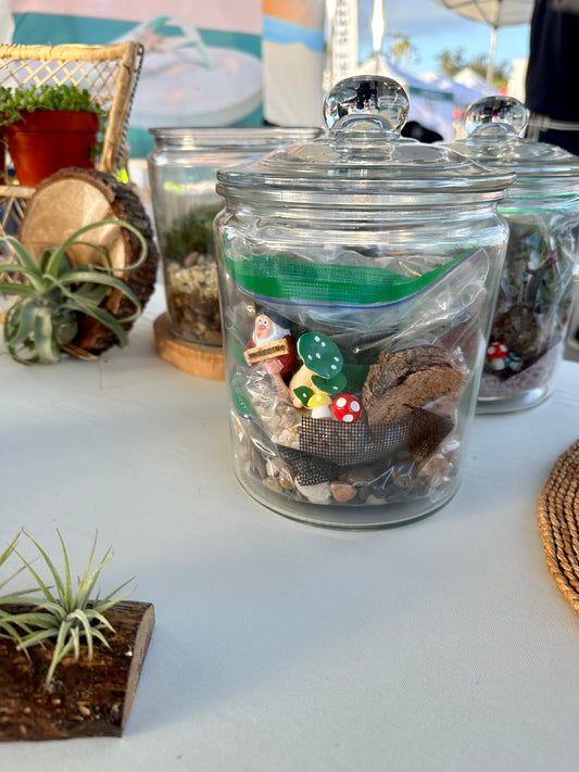 DIY Terrarium Kit