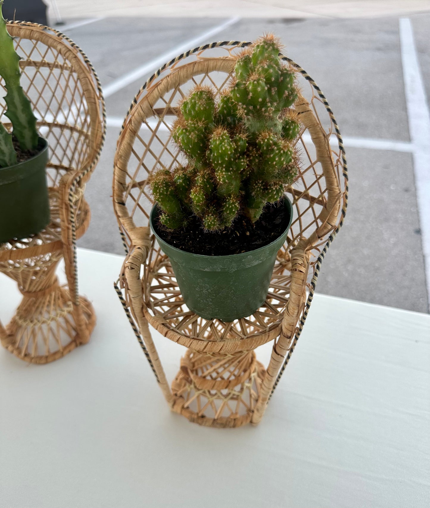 Wicker Plant Chair