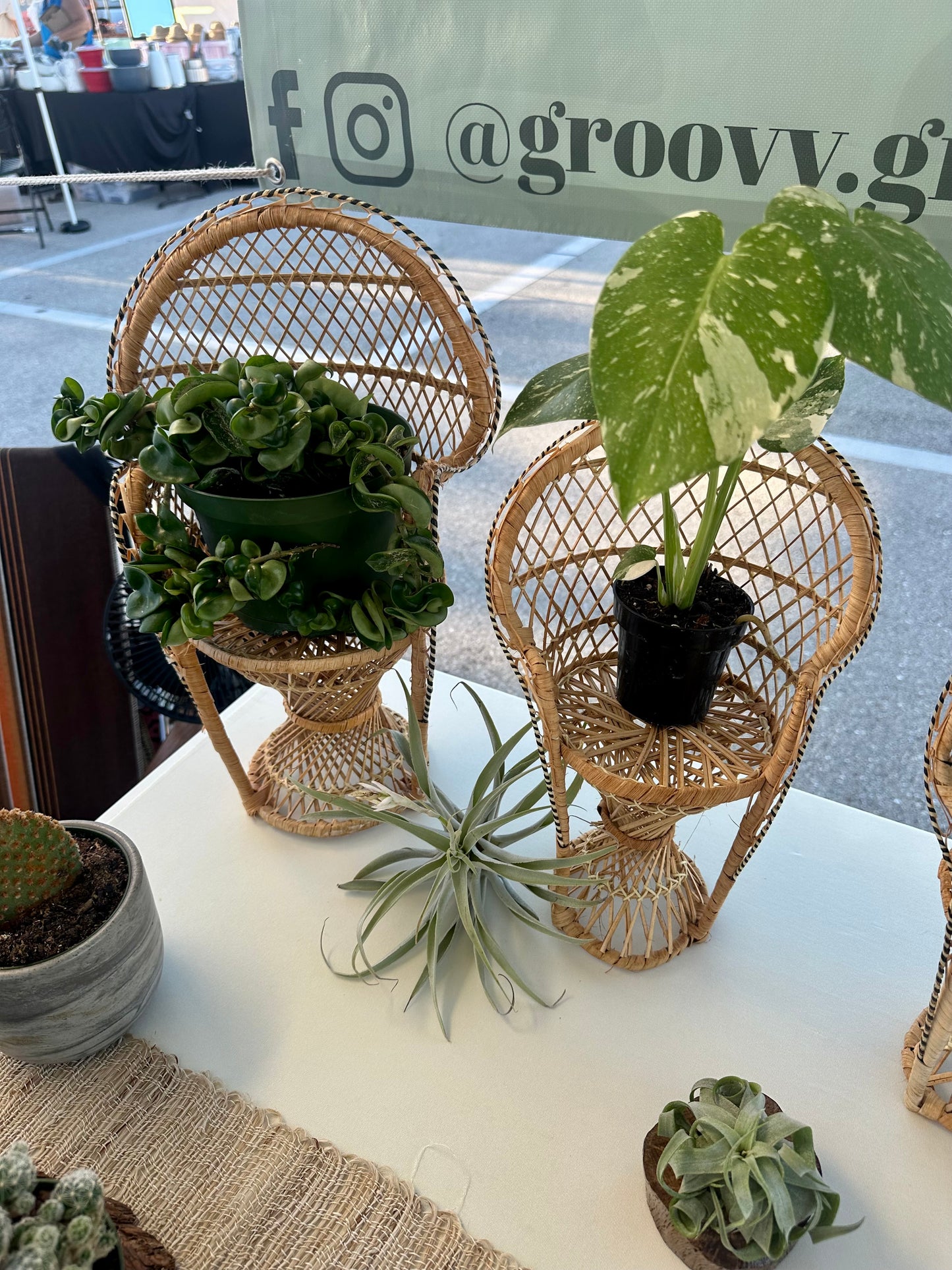 Wicker Plant Chair