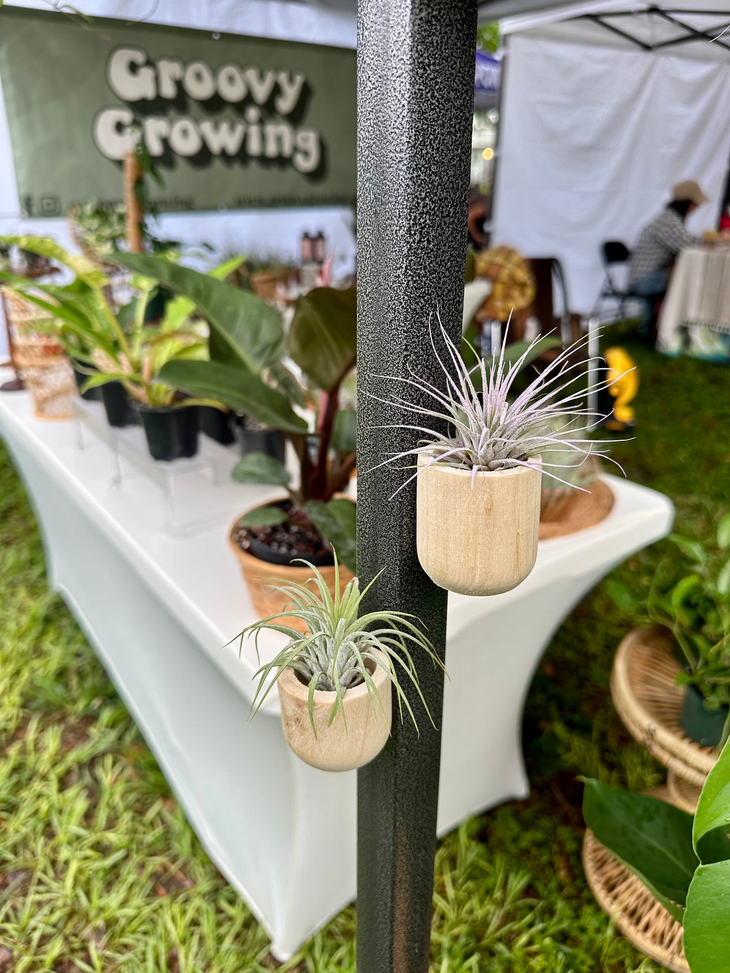 Magnetic Air Plant Holder