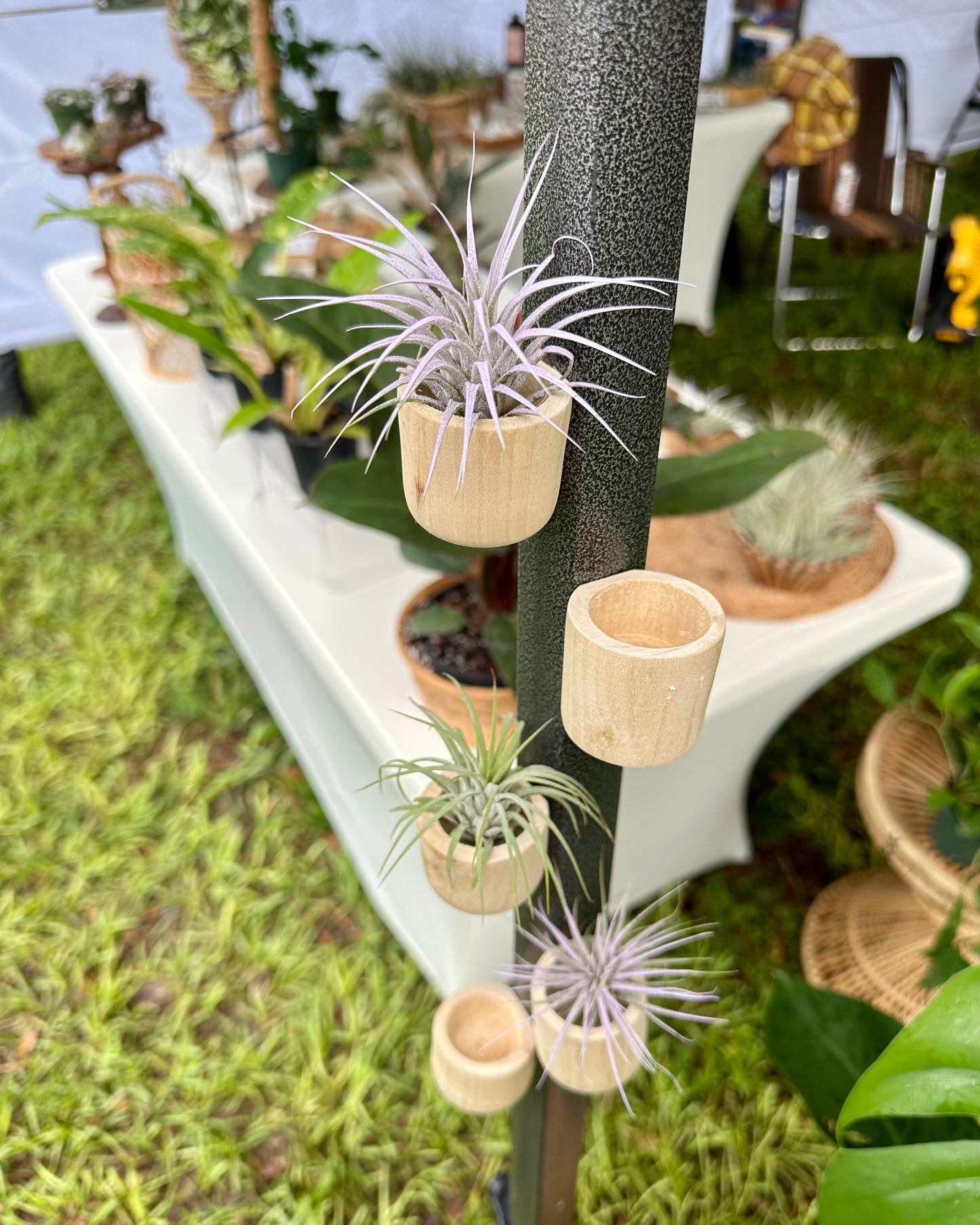 Magnetic Air Plant Holder