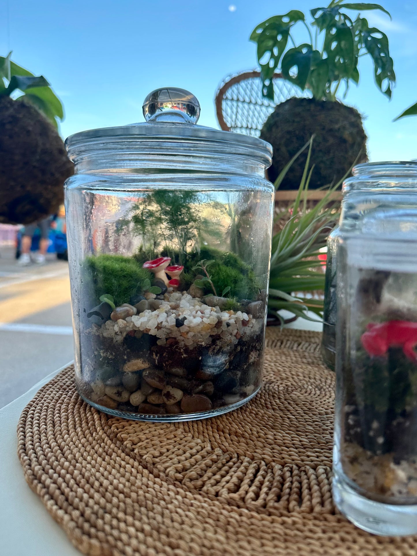 Terrarium Workshop